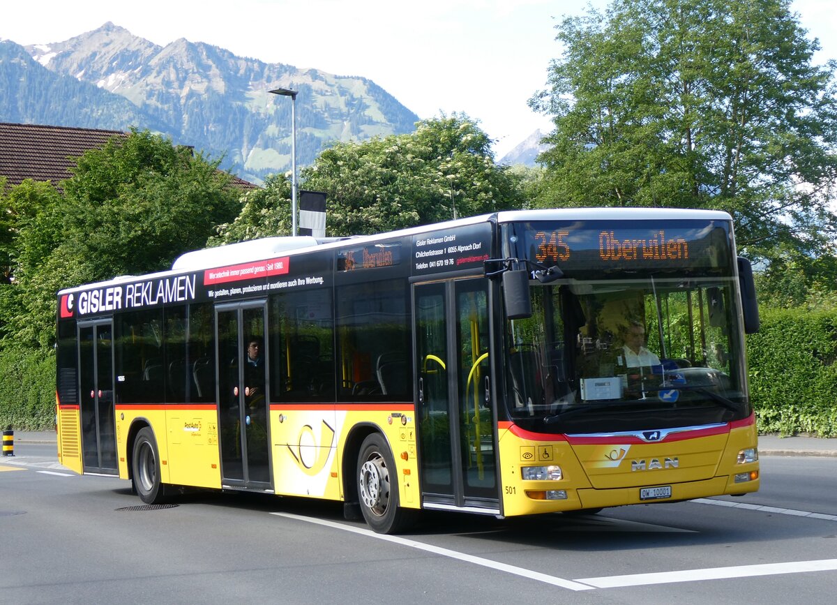 (262'482) - PostAuto Zentralschweiz - Nr. 501/OW 10'001/PID 10'265 - MAN (ex Nr. 9; ex Dillier, Sarnen Nr. 9) am 18. Mai 2024 in Sarnen, Br�nigstrasse