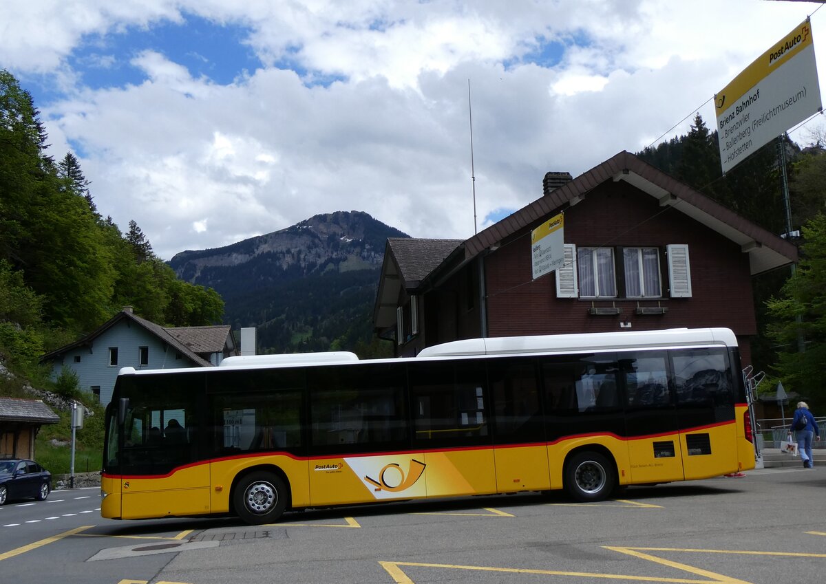 (262'730) - Flck, Brienz - Nr. 5/BE 113'349/PID 10'859 - Mercedes am 18. Mai 2024 auf dem Brnigpass