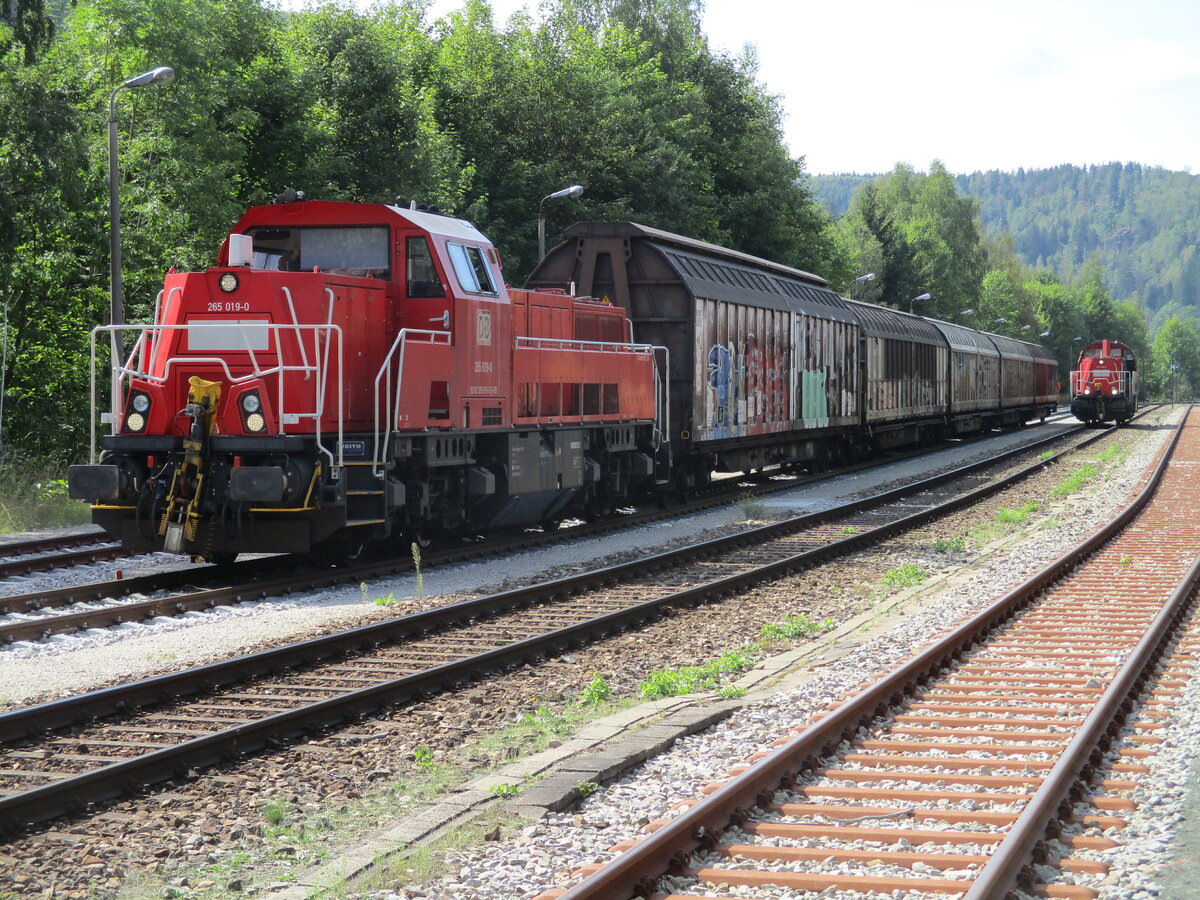 265 019 hatte einen Güterzug nach Blankenstein,am 30.August 2022,gebracht.