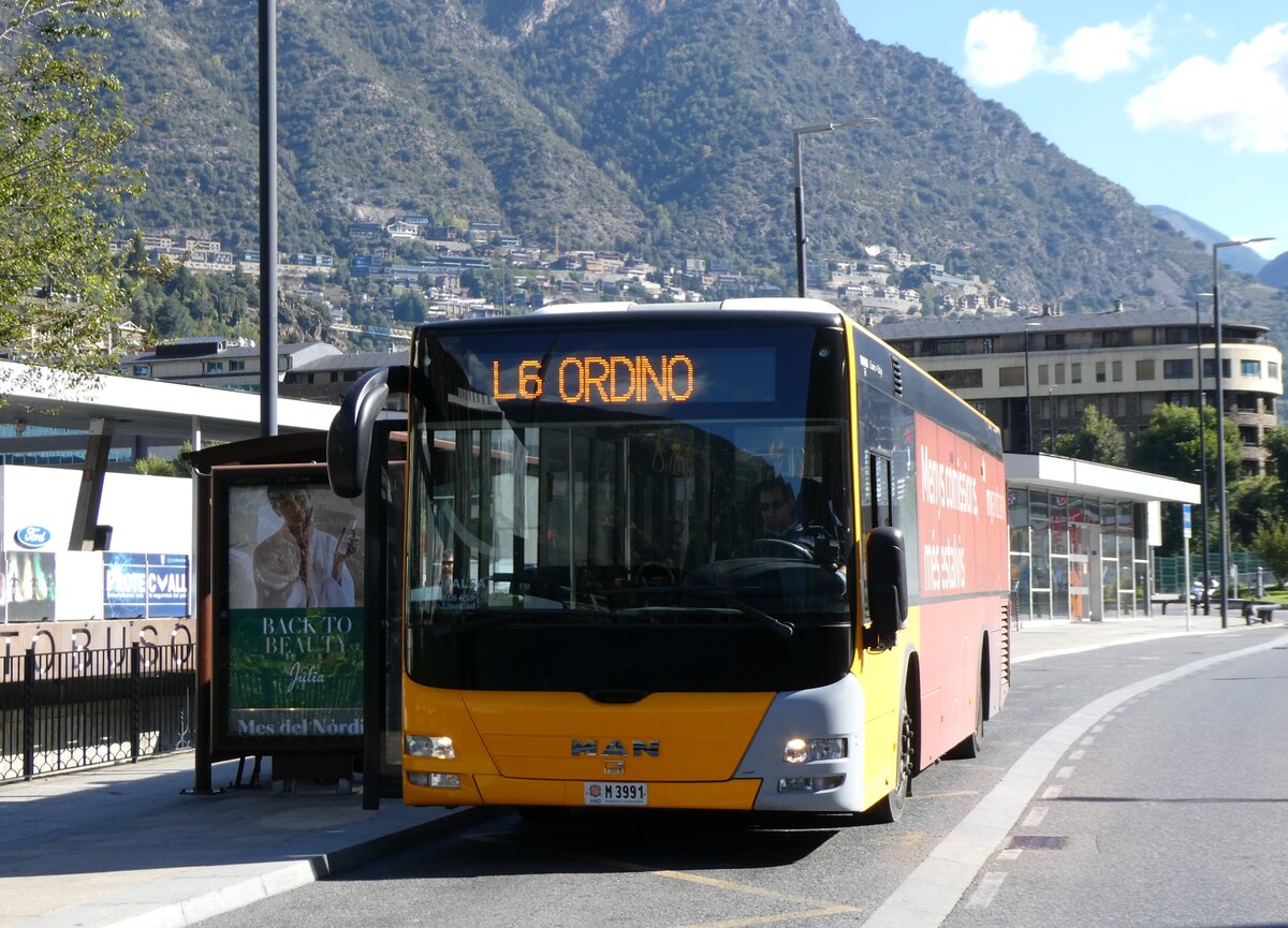 (267'280) - Coopalsa, Andorra la Vella - M3991 - MAN am 19. September 2024 in Andorra la Vella, Estaci� Nacional Autobusos