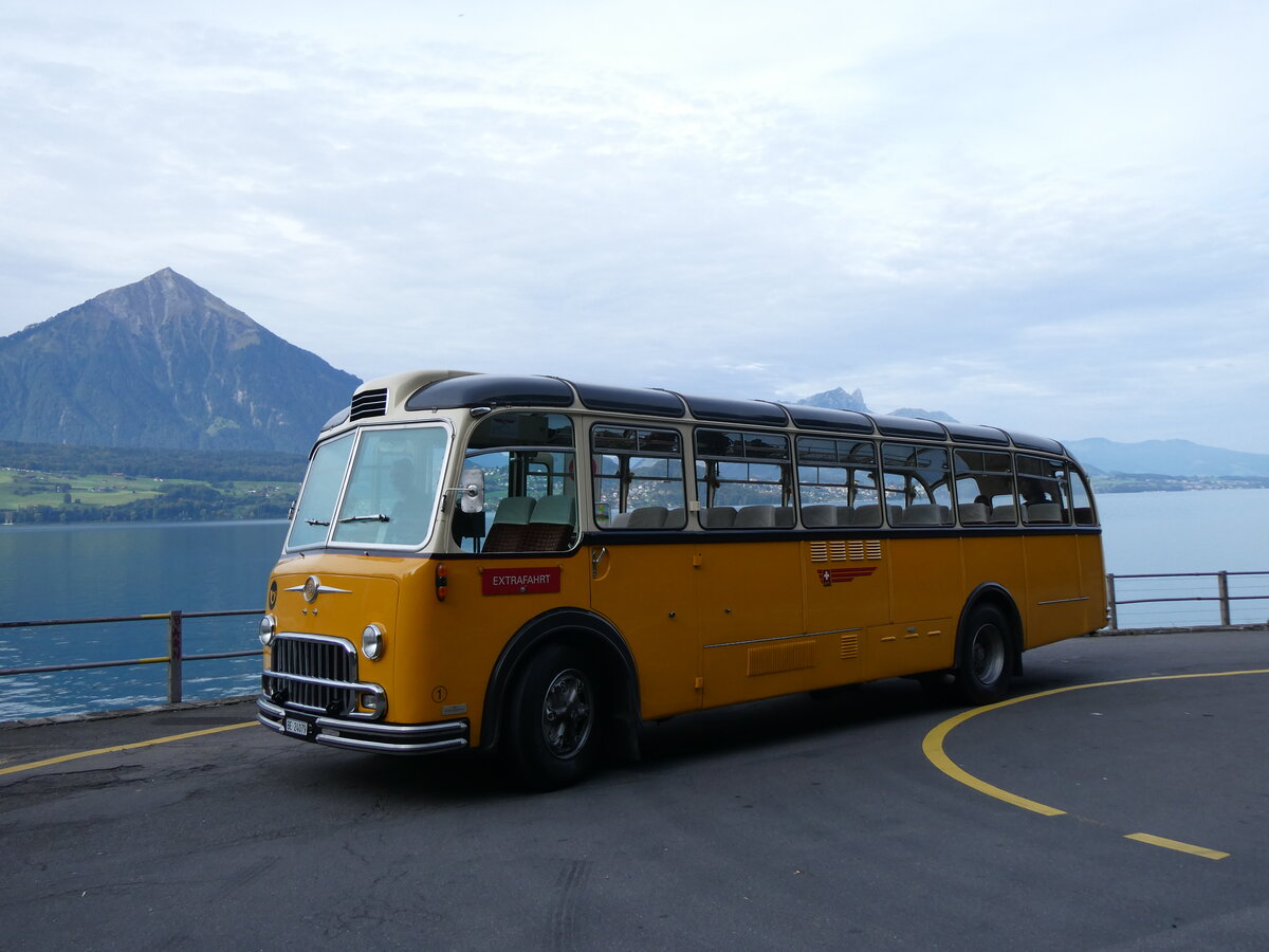 (267'415) - Gast, Reutigen - Nr. 1/BE 24'079 - FBW/FHS (ex Lambach, Gommiswald; ex Hotz, Rickenbach bei Wil/TG; ex P 24'079; ex P 21'579) am 22. September 2024 in Merligen, Beatenbucht