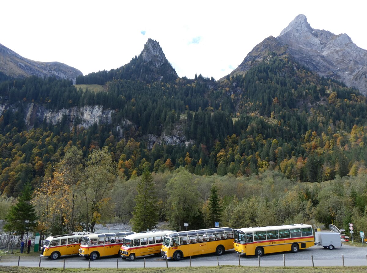 (268'044) - Schmid, Thrishaus - BE 26'206 - Saurer/Tscher (ex P 24'244) am 12. Oktober 2024 in Kiental, Tschingelsee