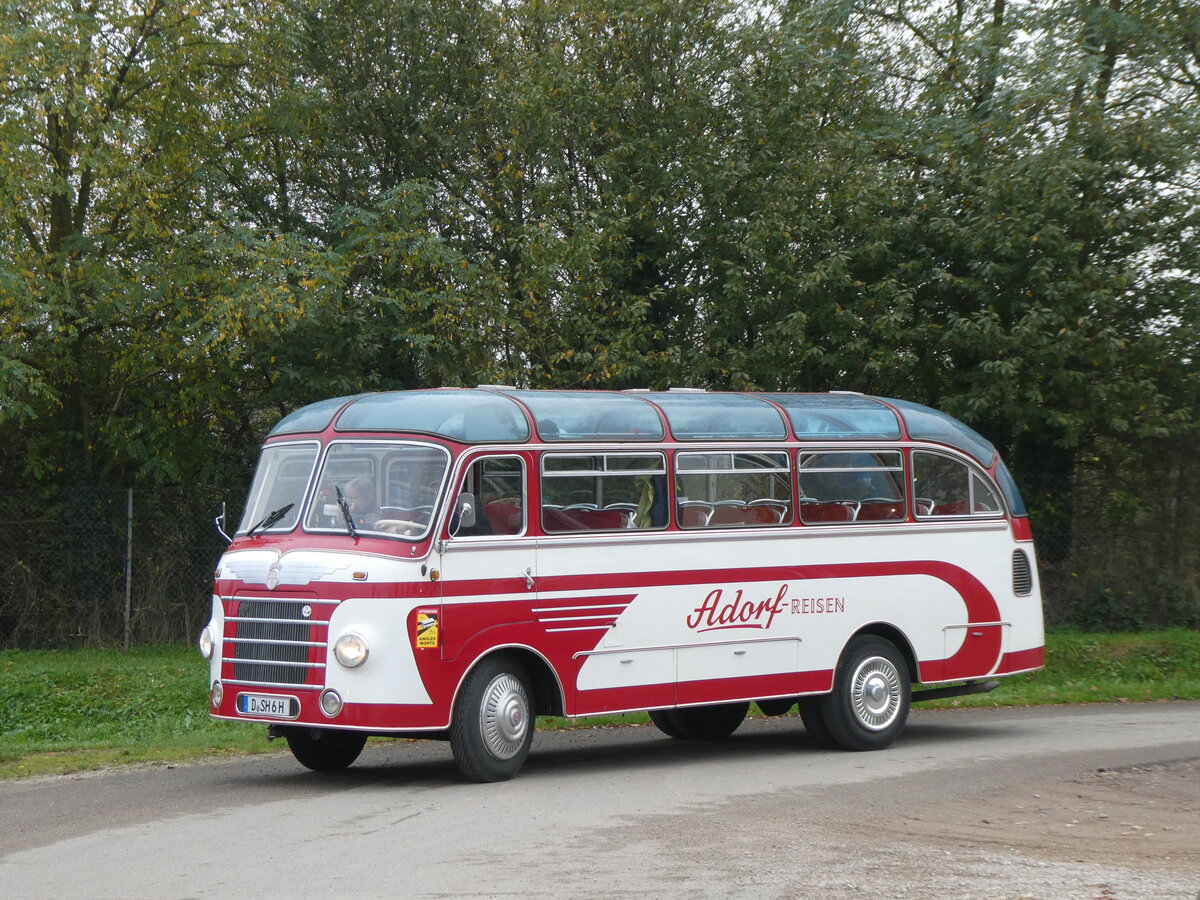(268'662) - Aus Deutschland: Adorf-Reisen, D�sseldorf - D-SH 6H - Neoplan/Auw�rter am 26. Oktober 2024 in Kintzheim, Cigoland