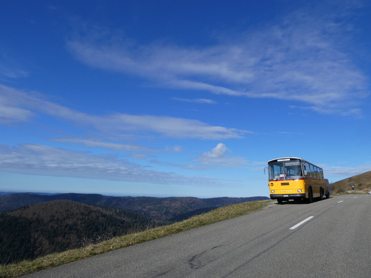 (268'749) - Aus der Schweiz: Schmid, Th�rishaus - BE 26'206 - Saurer/T�scher (ex P 24'244) am 27. Oktober 2024 bei Rothenbach