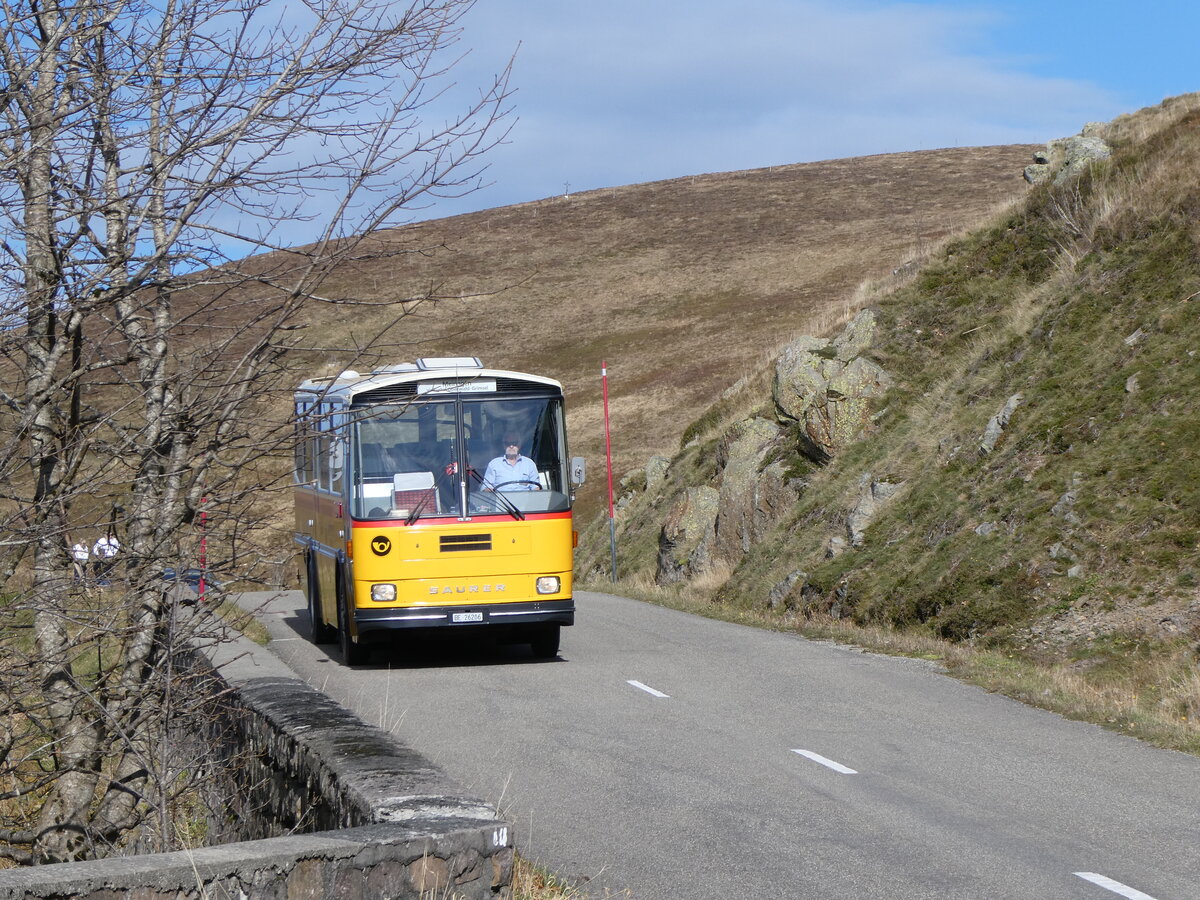 (268'760) - Aus der Schweiz: Schmid, Th�rishaus - BE 26'206 - Saurer/T�scher (ex P 24'244) am 27. Oktober 2024 bei Rothenbach