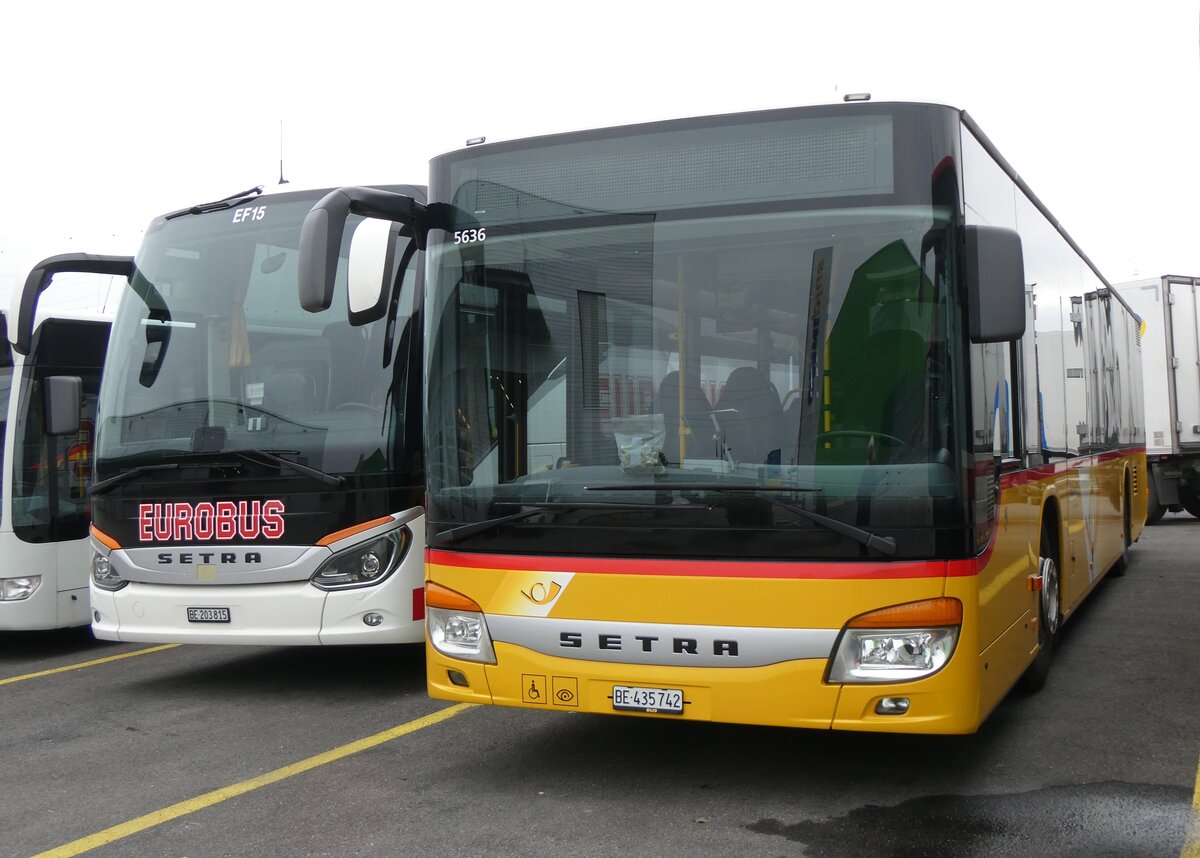 (269'546) - Fl�ck, Brienz - Nr. 2/BE 435'742/PID 5636 - Setra am 30. November 2024 in Kerzers, Interbus