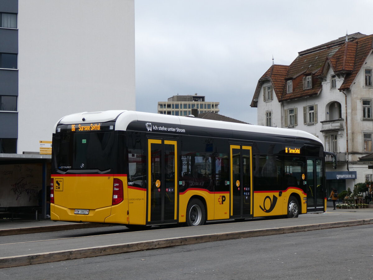 (269'776) - H�fliger, Sursee - Nr. 37/OW 16'637/PID 12'021 - eMercedes (ex vermietet an PostAuto Zentralschweiz Nr. 537) am 10. Dezember 2024 beim Bahnhof Sursee