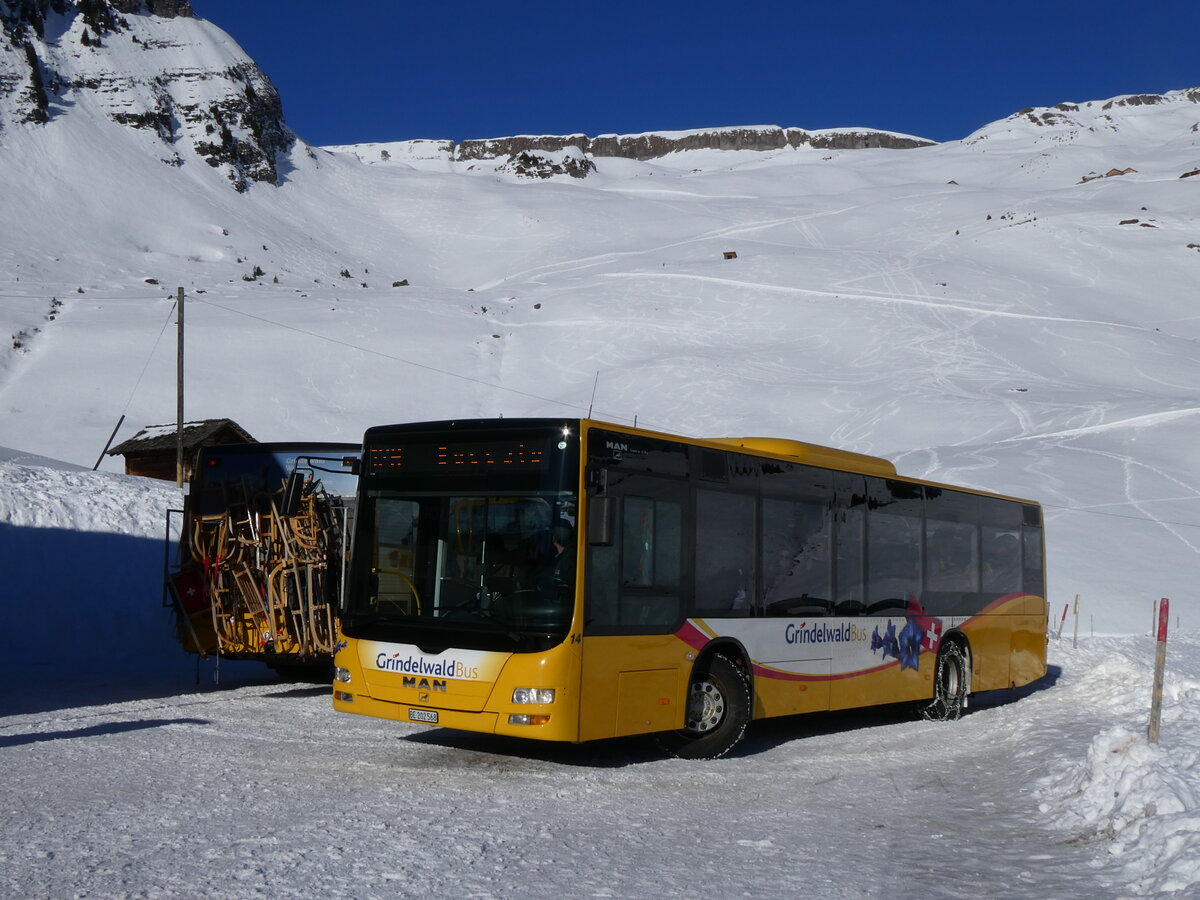 (270'355) - GrindelwaldBus, Grindelwald - Nr. 14/BE 202'568 - MAN/G�ppel am 29. Dezember 2024 auf der Bussalp 