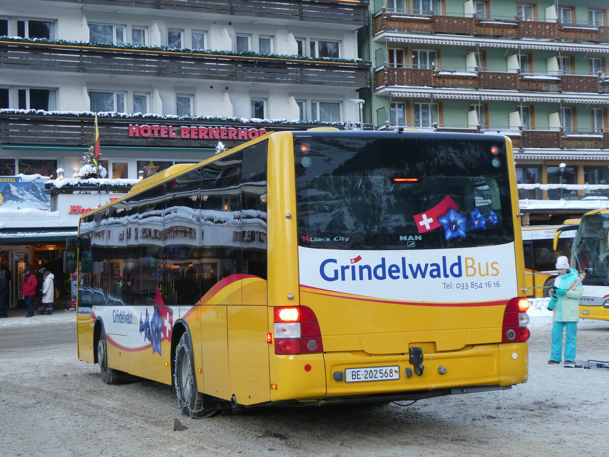(270'406) - GrindelwaldBus, Grindelwald - Nr. 14/BE 202'568 - MAN/G�ppel am 29. Dezember 2024 beim Bahnhof Grindelwald