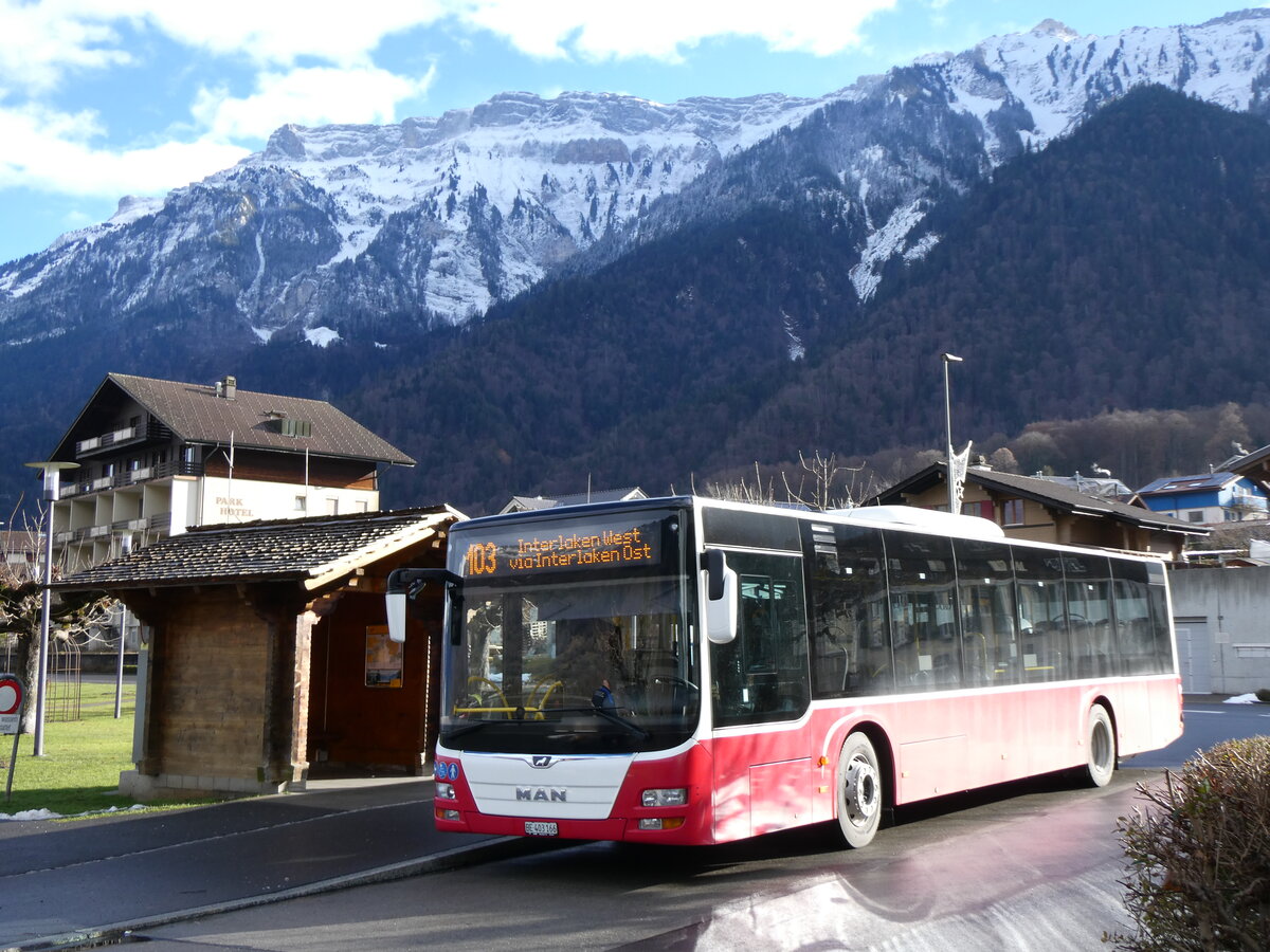 (270'732) - PostAuto Bern - BE 403'166/PID 12'336 - MAN (ex Dr. Richard, A-Wien Nr. 1411) am 7. Januar 2025 in B�nigen, See