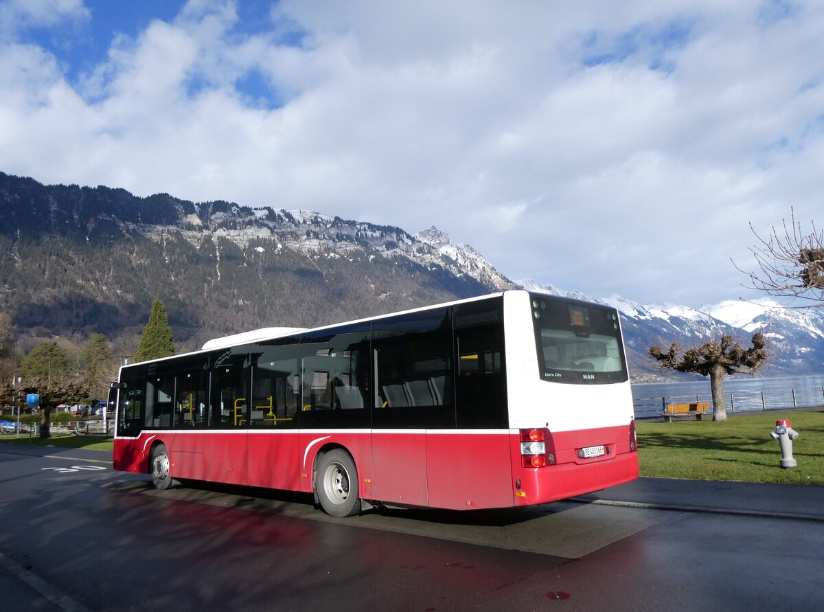 (270'736) - PostAuto Bern - BE 403'166/PID 12'336 - MAN (ex Dr. Richard, A-Wien Nr. 1411) am 7. Januar 2025 in B�nigen, See