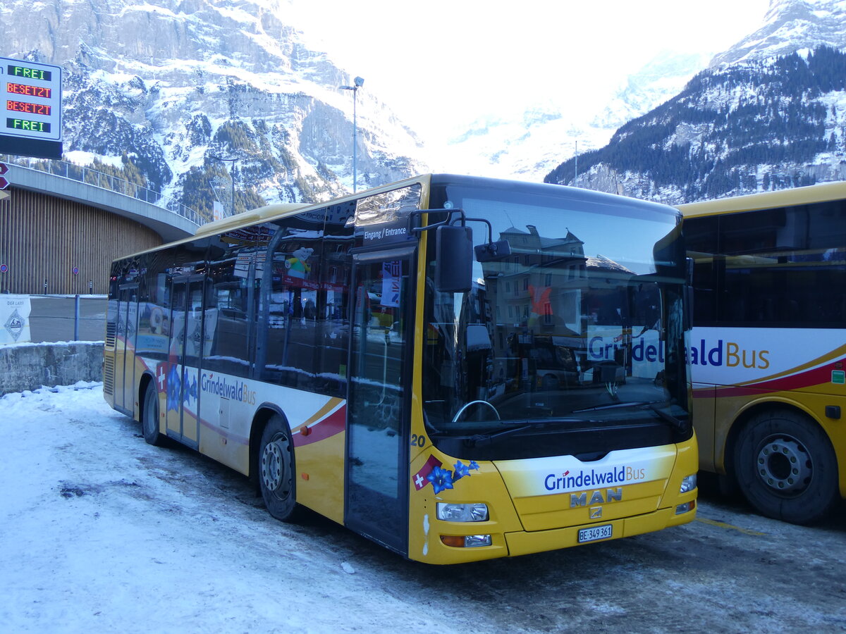 (271'291) - GrindelwaldBus, Grindelwald - Nr. 20/BE 349'361 - MAN/G�ppel am 18. Januar 2025 beim Bahnhof Grindelwald