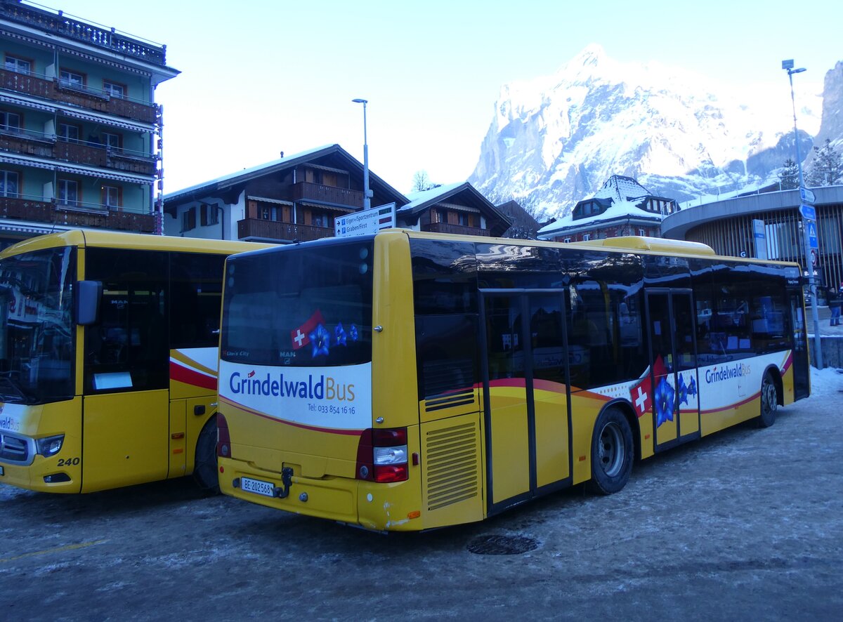 (271'296) - GrindelwaldBus, Grindelwald - Nr. 14/BE 202'568 - MAN/G�ppel am 18. Januar 2025 beim Bahnhof Grindelwald