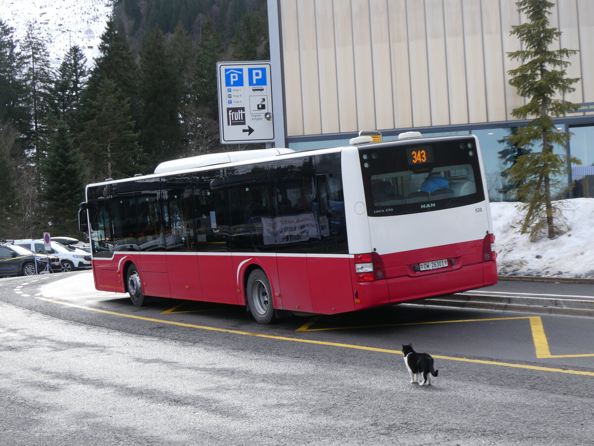 (271'424) - PostAuto Zentralschweiz - Nr. 530/OW 26'301/PID 12'338 - MAN (ex Dr. Richard, A-Wien Nr. 1418) am 24. Januar 2025 auf der St�ckalp