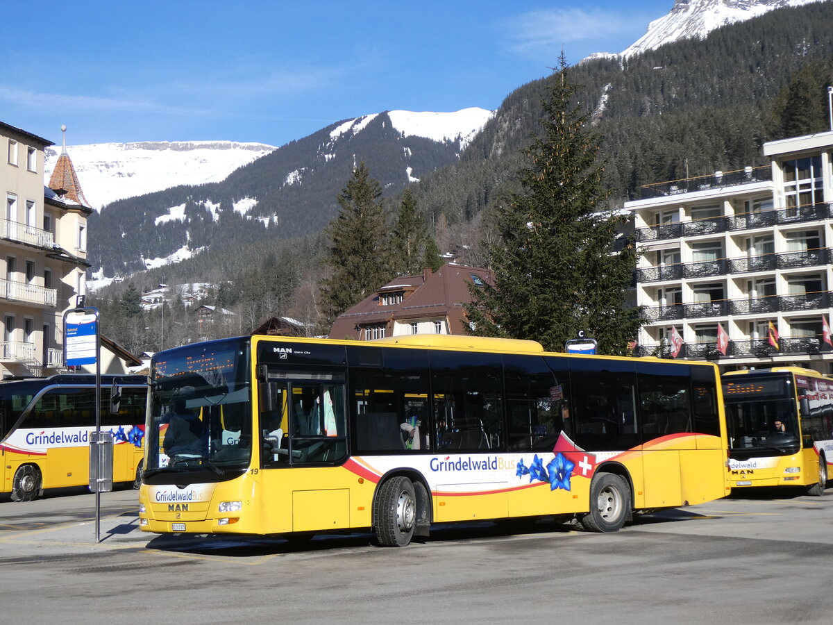(272'167) - GrindelwaldBus, Grindelwald - Nr. 19/BE 363'305 - MAN/G�ppel am 17. Februar 2025 beim Bahnhof Grindelwald