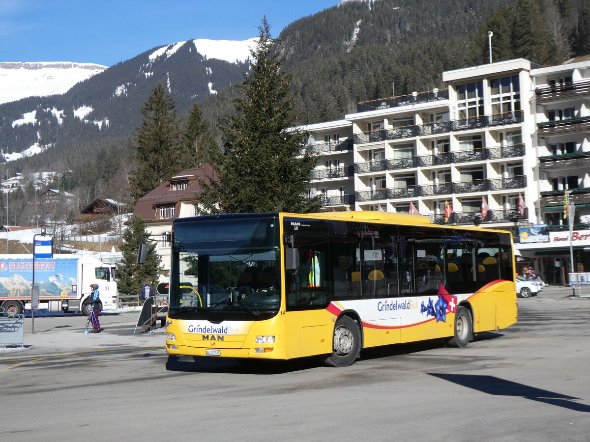 (272'172) - GrindelwaldBus, Grindelwald - Nr. 14/BE 202'568 - MAN/G�ppel am 17. Februar 2025 beim Bahnhof Grindelwald