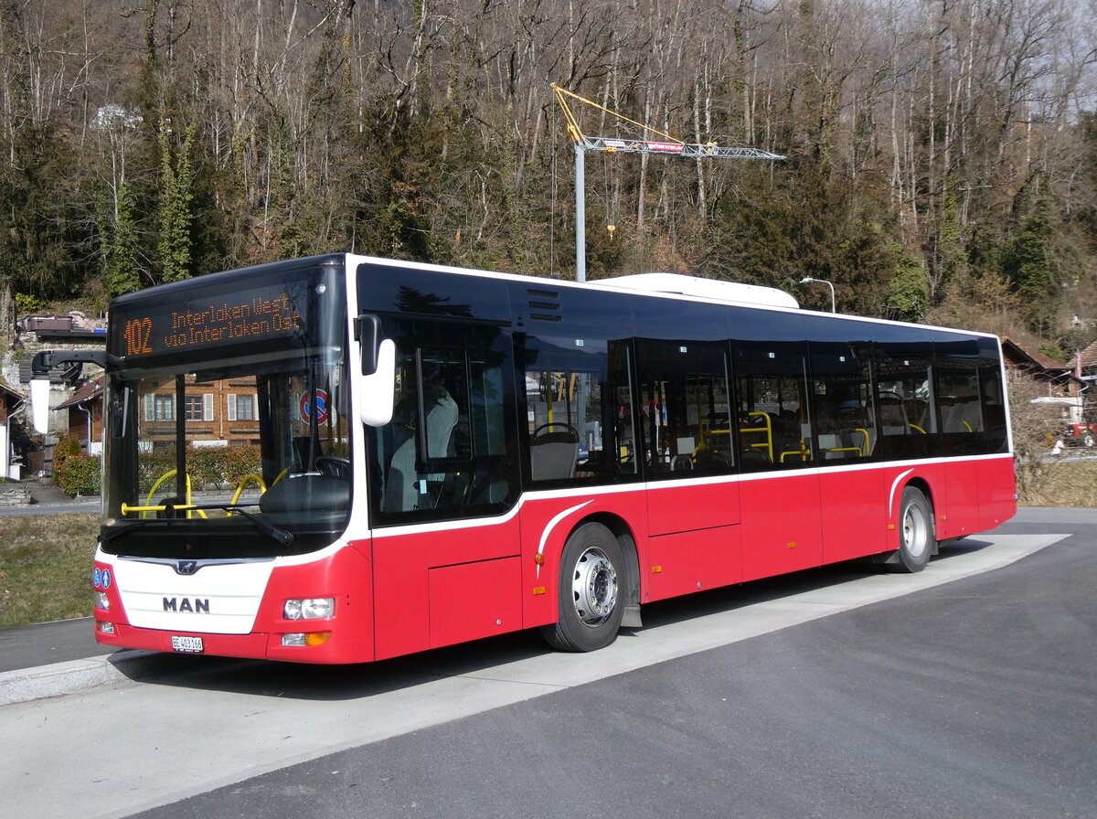 (272'189) - PostAuto Bern - BE 403'166/PID 12'336 - MAN (ex Dr. Richard, A-Wien Nr. 1411) am 17. Februar 2025 in Ringgenberg, S�ge