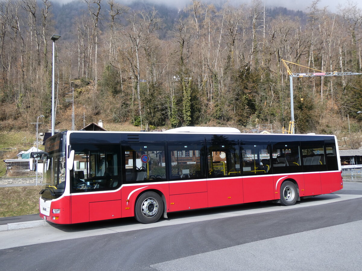 (272'190) - PostAuto Bern - BE 403'166/PID 12'336 - MAN (ex Dr. Richard, A-Wien Nr. 1411) am 17. Februar 2025 in Ringgenberg, S�ge