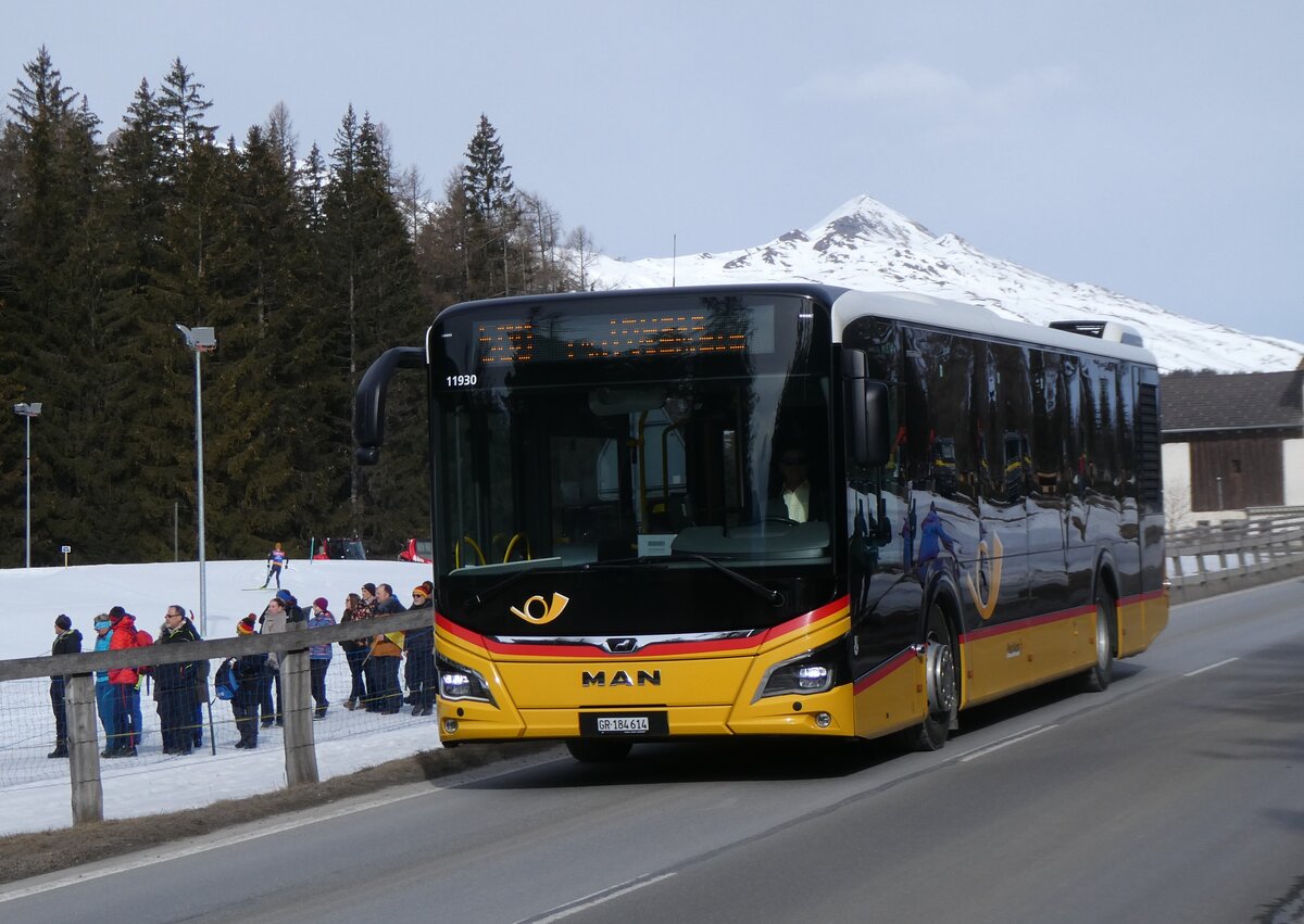 (272'320) - PostAuto Graub�nden - GR 184'614/PID 11'930 - MAN am 22. Februar 2025 in Lantsch/Lenz, Biathlon-WM