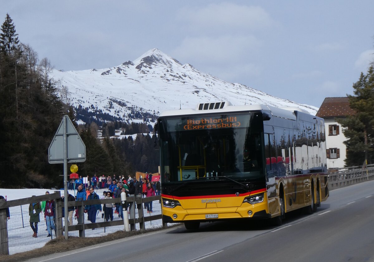 (272'400) - PostAuto Graub�nden - GR 177'050/PID 12'108 - Scania am 22. Februar 2025 in Lantsch/Lenz, Biathlon-WM