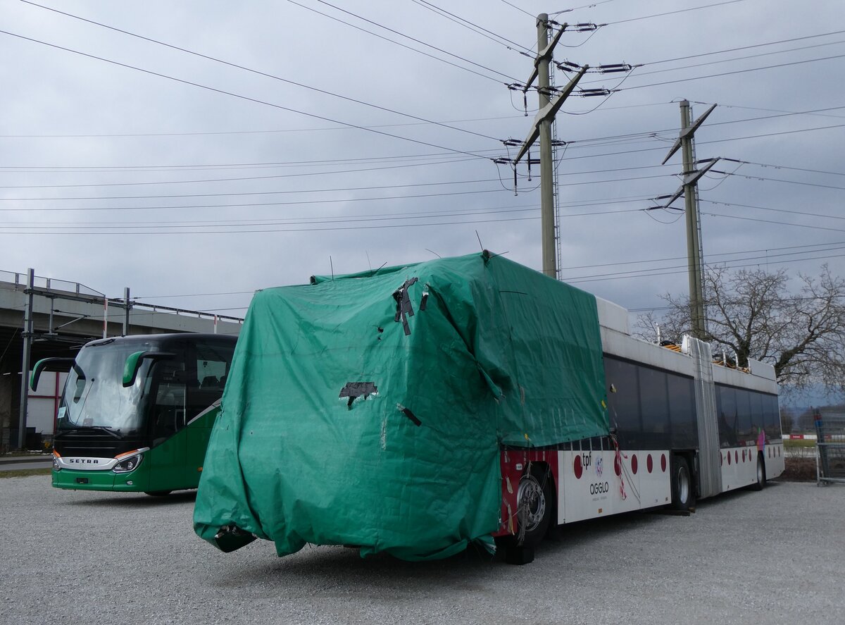 (272'533) - TPF Fribourg - Nr. 6610 - Hess/Hess Gelenktrolleybus am 1. M�rz 2025 in Kerzers, Murtenstrasse