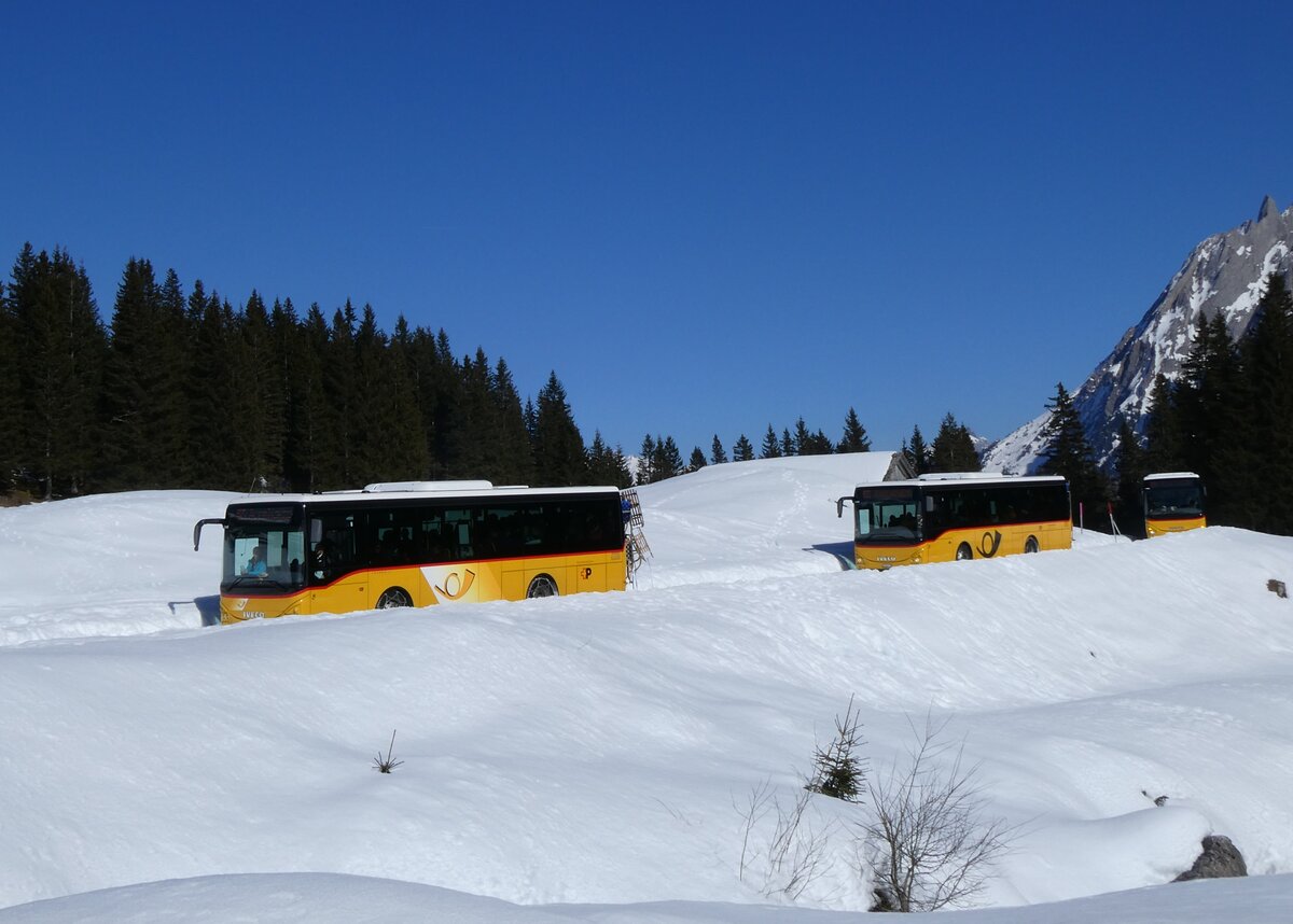 (272'592) - Fl�ck, Brienz - Nr. 26/BE 868'726/PID 11'668 + Nr. 27/BE 868'727/PID 11'669 + Nr. 25/BE 868'725/PID 11'594 - Iveco am 2. M�rz 2025 bei der Grossen Scheidegg