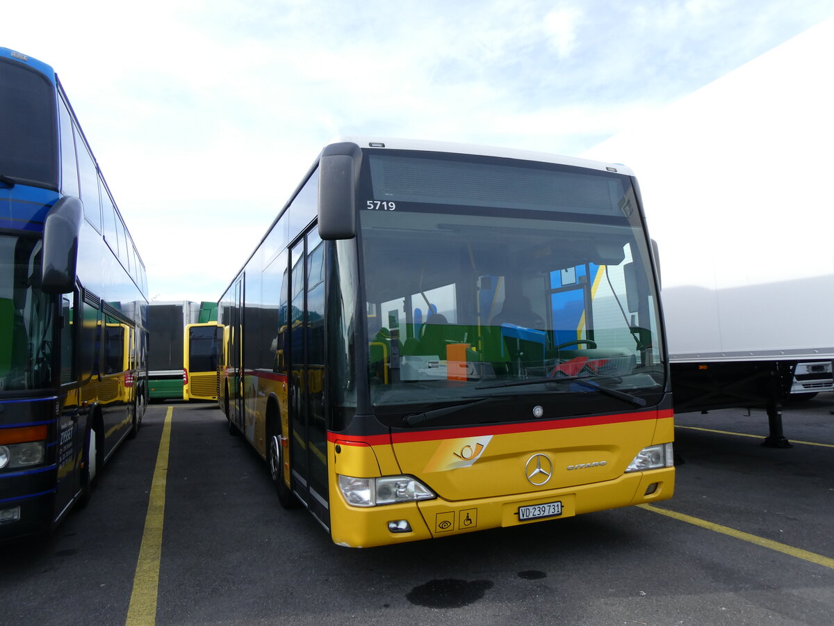 (272'719) - CarPostal Ouest - VD 239'731/PID 5719 - Mercedes (ex Faucherre, Moudon) am 9. M�rz 2025 in Kerzers, Interbus