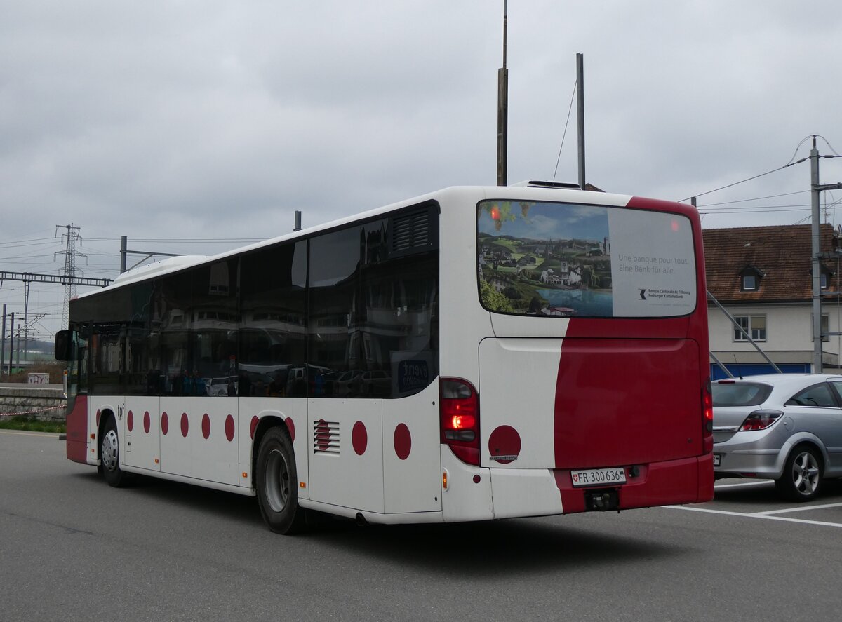 (273'031) - Wieland, Murten - Nr. 58/FR 300'636 - Setra am 15. M�rz 2025 beim Bahnhof Kerzers