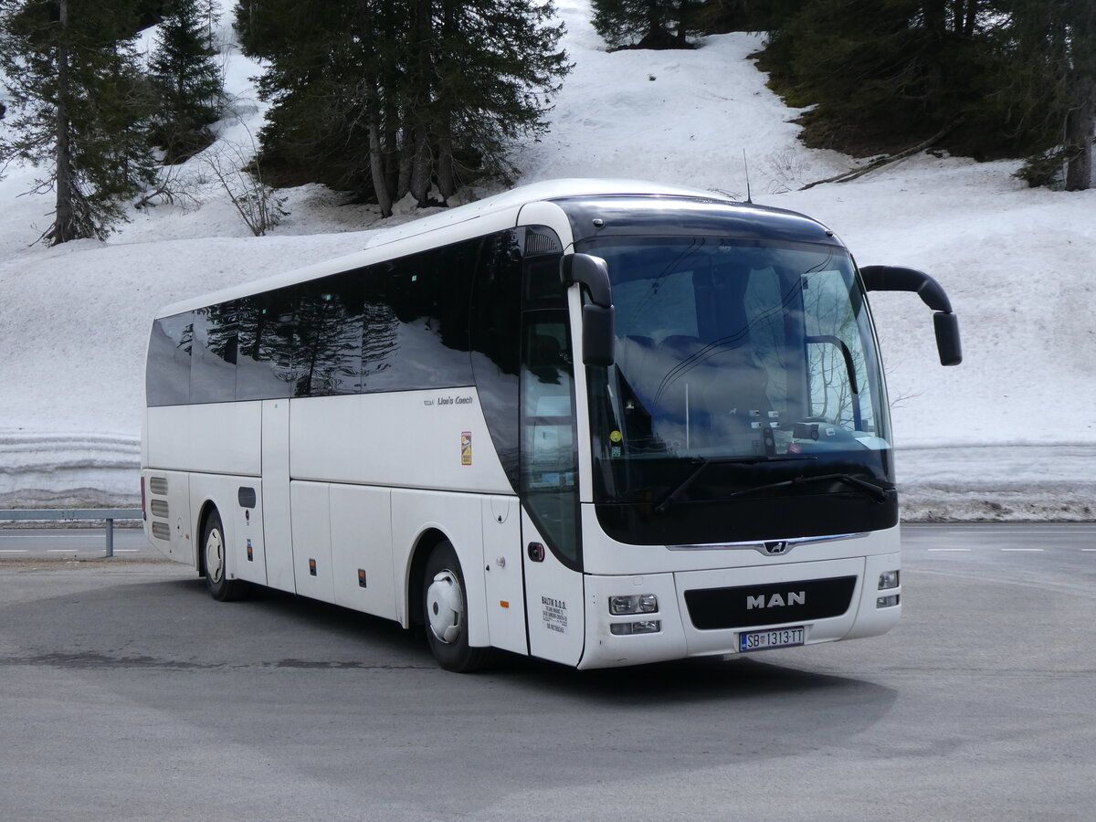 (273'215) - Aus Kroatien: Baltik, Samobor - SB 1313-TT - MAN am 27. M�rz 2025 in Col du Pillon, Glacier 3000