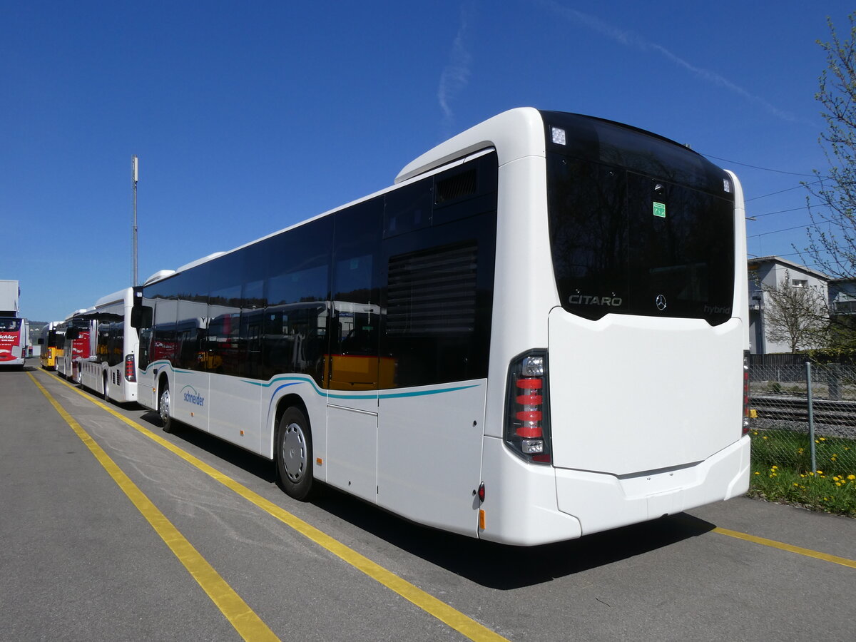 (273'885) - Schneider, Ermenswil - (621'368) - Mercedes am 12. April 2025 in Winterthur, Daimler Buses