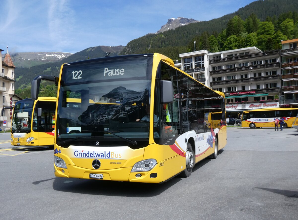 (275'939) - GrindelwaldBus, Grindelwald - Nr. 202/BE 908'202 - Mercedes am 29. Mai 2025 beim Bahnhof Grindelwald