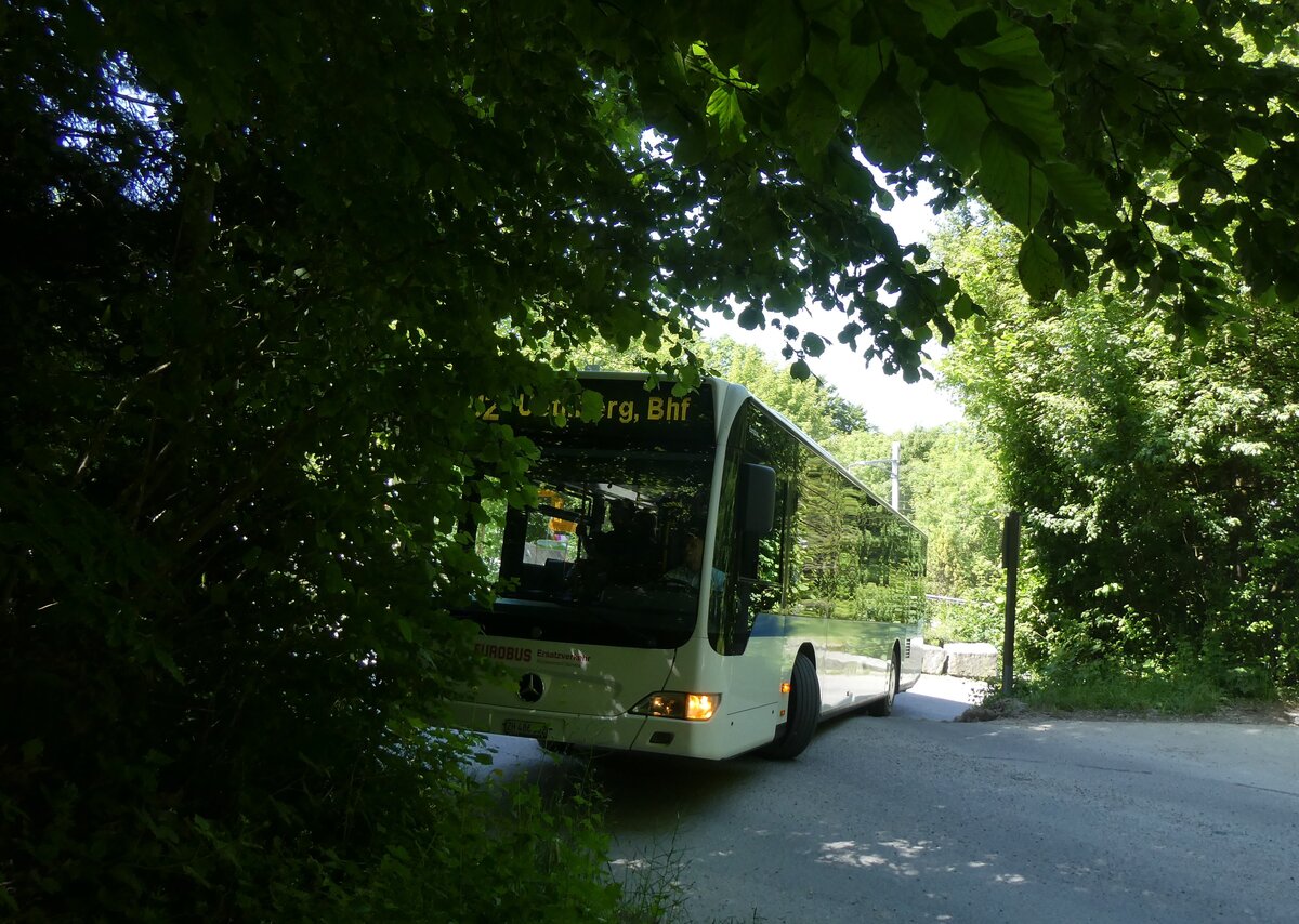 (276'111) - Welti-Furrer, Bassersdorf - Nr. 50/ZH 486'502 - Mercedes (ex Maag, Kloten Nr. 45) am 31. Mai 2025 beim Bahnhof Uetliberg