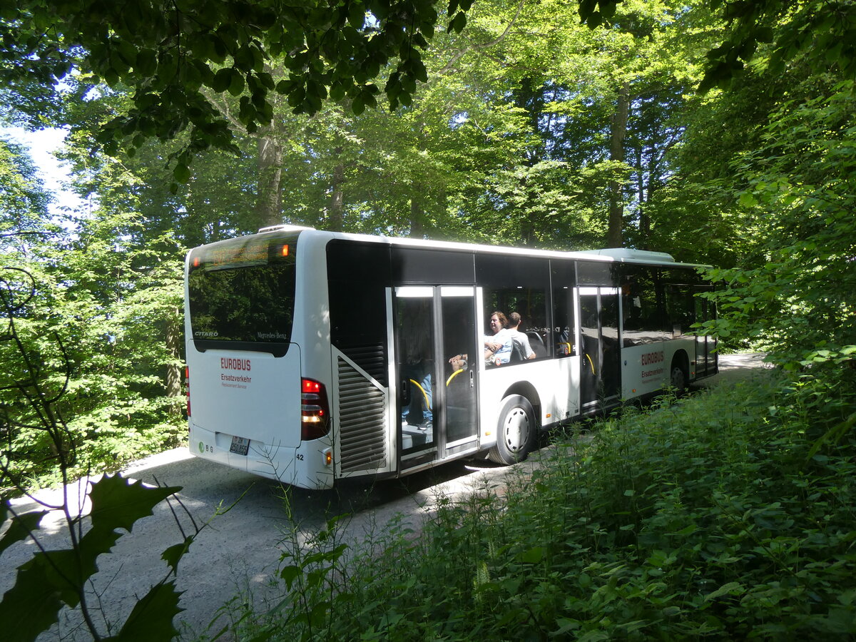 (276'113) - Welti-Furrer, Bassersdorf - Nr. 42/ZH 250'855 - Mercedes am 31. Mai 2025 beim Bahnhof Uetliberg