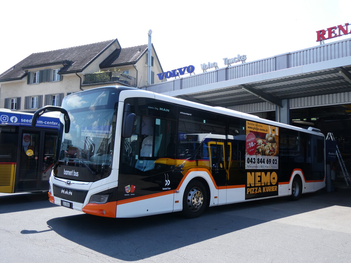 (276'808) - Bamert, Wollerau - SZ 29'201 - MAN am 17. Juni 2025 in Schmerikon, Thomann