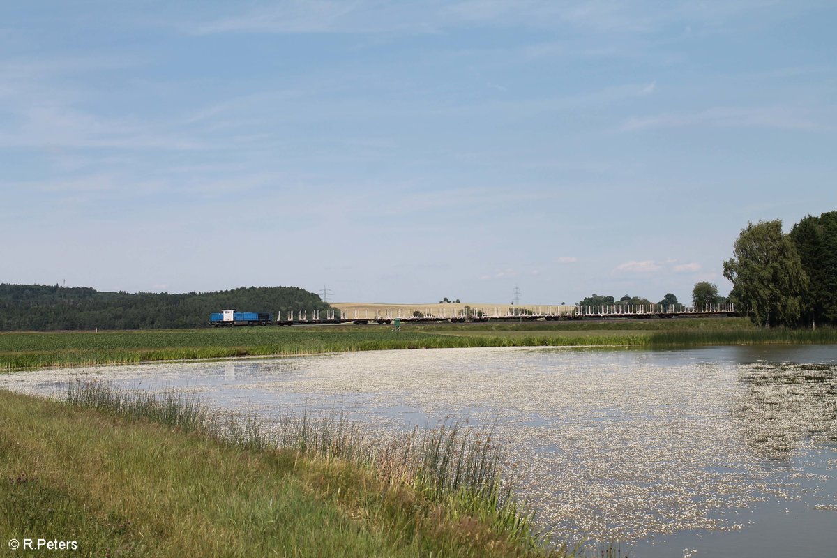 277 005 zieht den leeren Holzzug Wiesau - Cheb bei Oberteich. 21.06.17