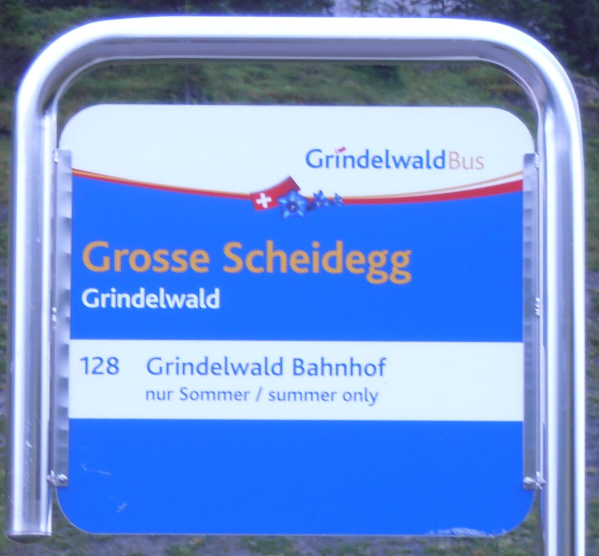 (277'855) - GrindelwaldBus-Haltestellenschild - Grindelwald, Grosse Scheidegg - am 15. Juli 2025 