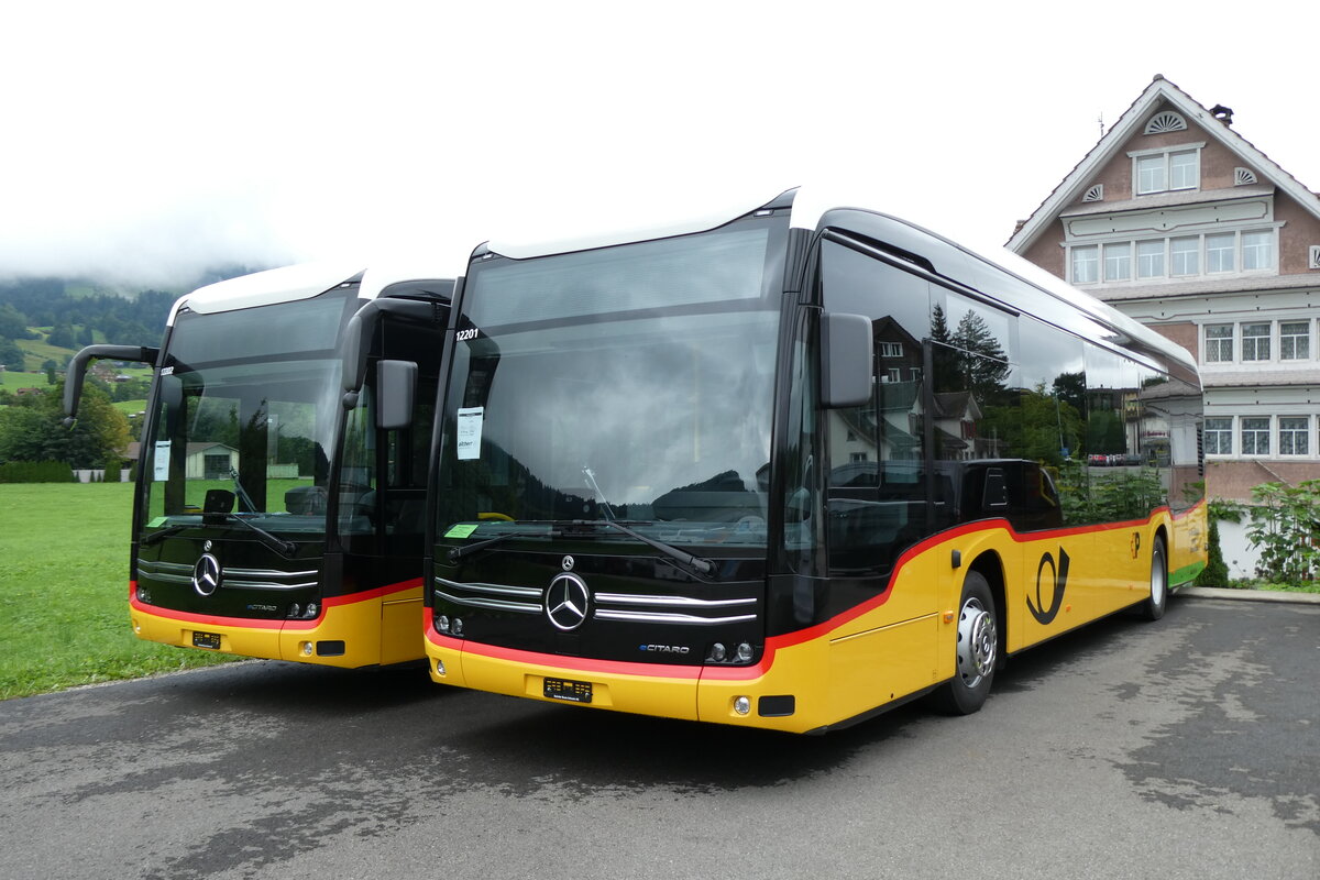 (278'021) - PostAuto Ostschweiz - PID 12'201 - eMercedes am 25. Juli 2025 in Nesslau, Altherr