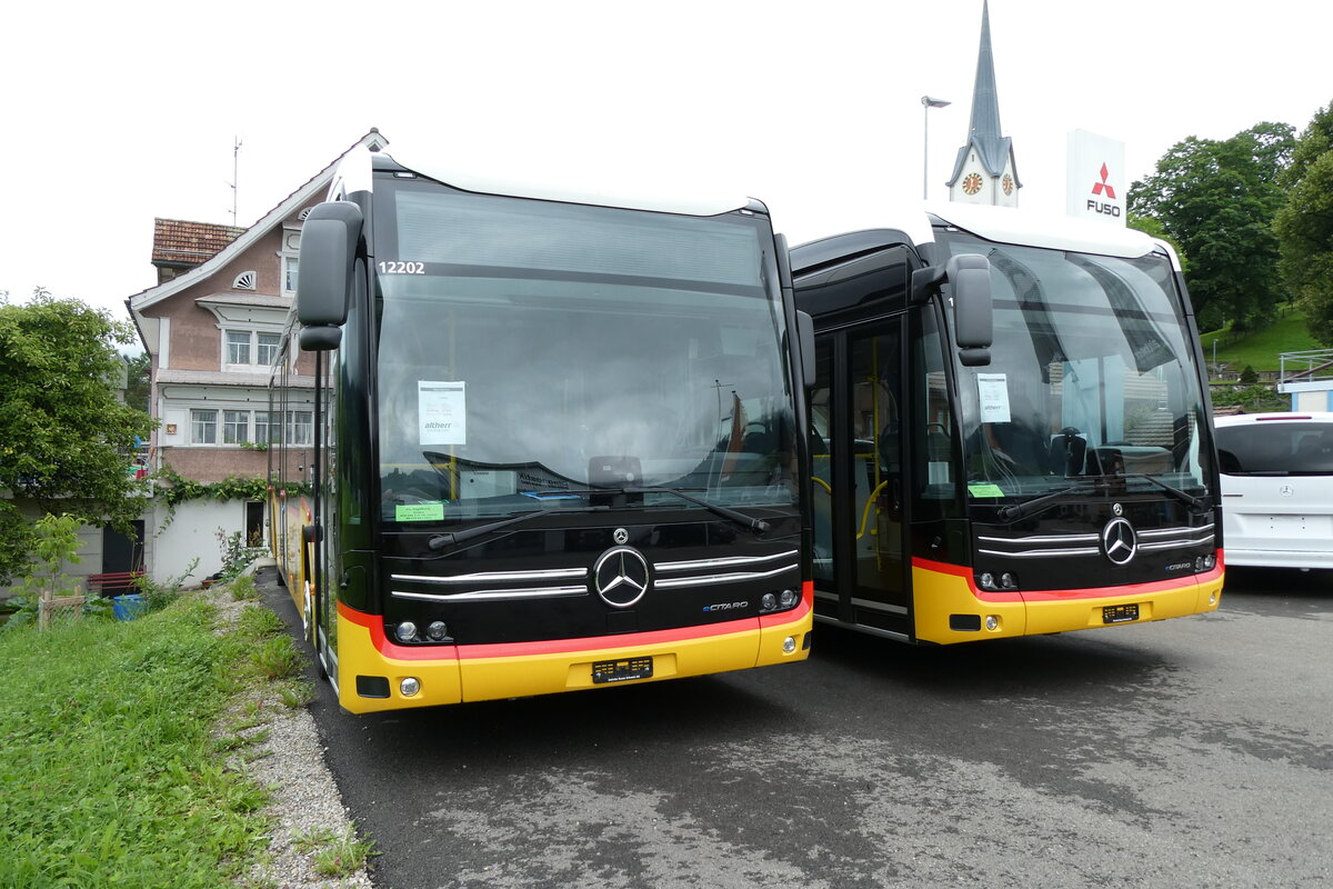 (278'022) - PostAuto Ostschweiz - PID 12'202 - PID 12'202 - eMercedes am 25. Juli 2025 in Nesslau, Altherr