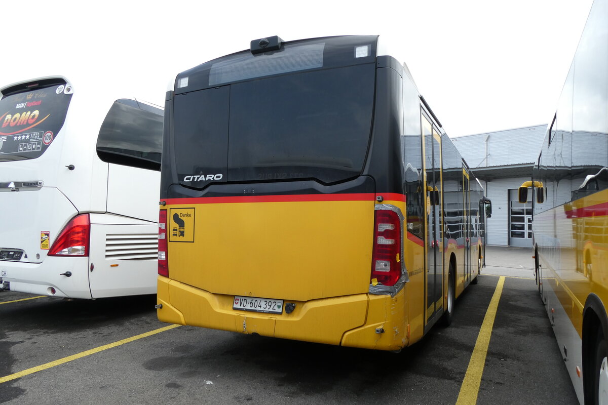 (278'095) - CarPostal Ouest - VD 604'392/PID 11'487 - Mercedes am 27. Juli 2025 in Kerzers, Interbus