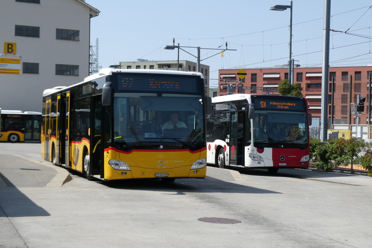 (278'871) - Wieland, Murten - Nr. 118/FR 300'595/PID 11'558 - Mercedes am 15. August 2025 beim Bahnhof D�dingen