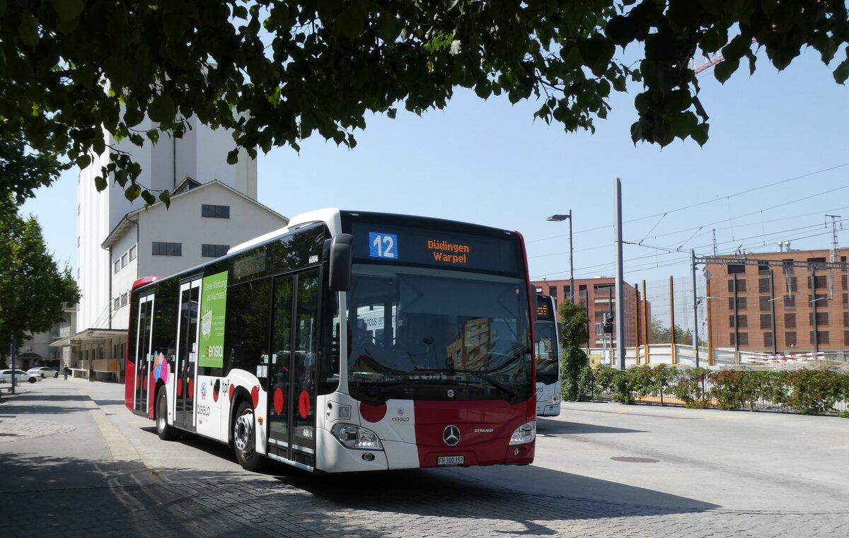 (278'878) - TPF Fribourg - Nr. 6004/FR 300'357 - Mercedes am 15. August 2025 beim Bahnhof D�dingen