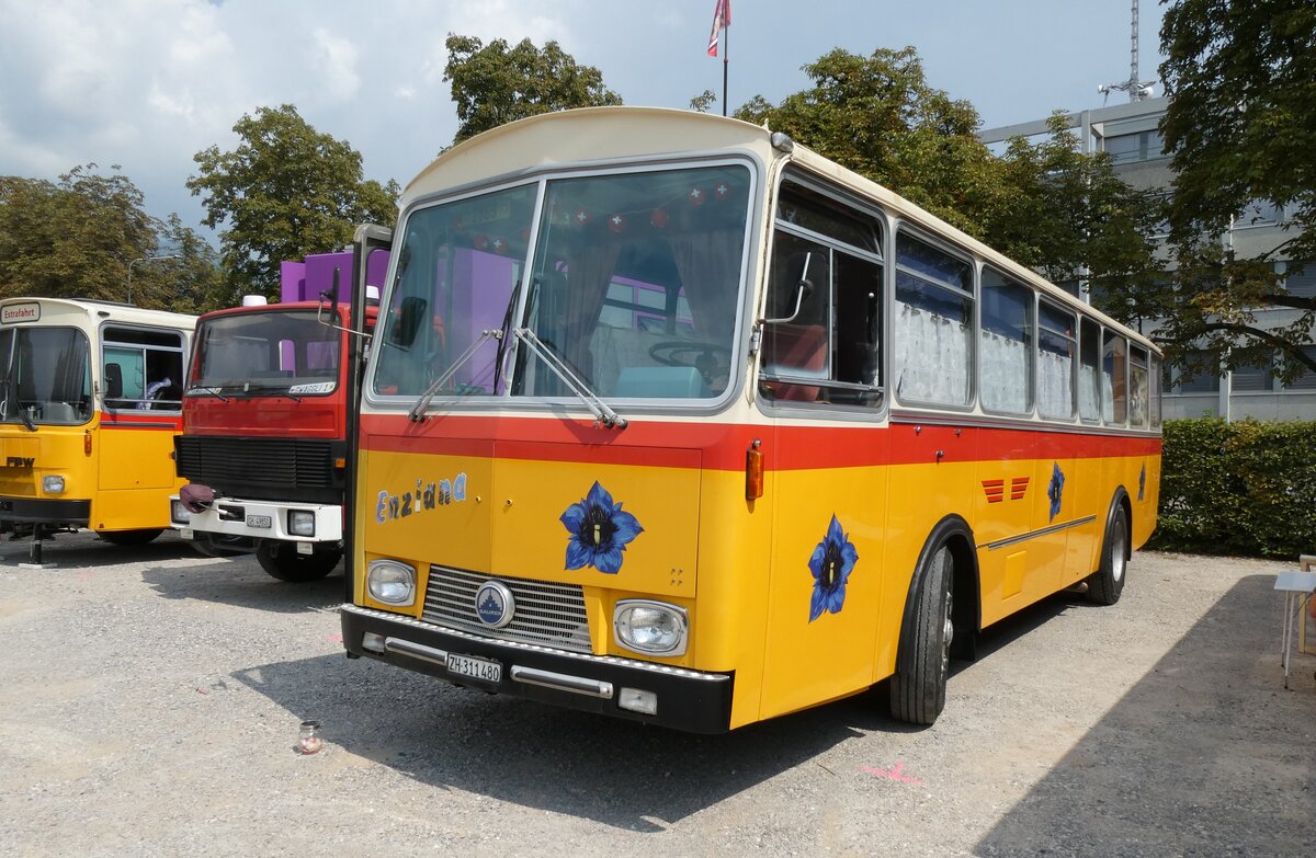 (278'992) - G�hwiler, Birmensdorf - ZH 311'480 - Saurer/T�scher (ex AVG Grindelwald Nr. 12; ex Steiger, Schlatt) am 16. August 2025 in Solothurn, Baseltor