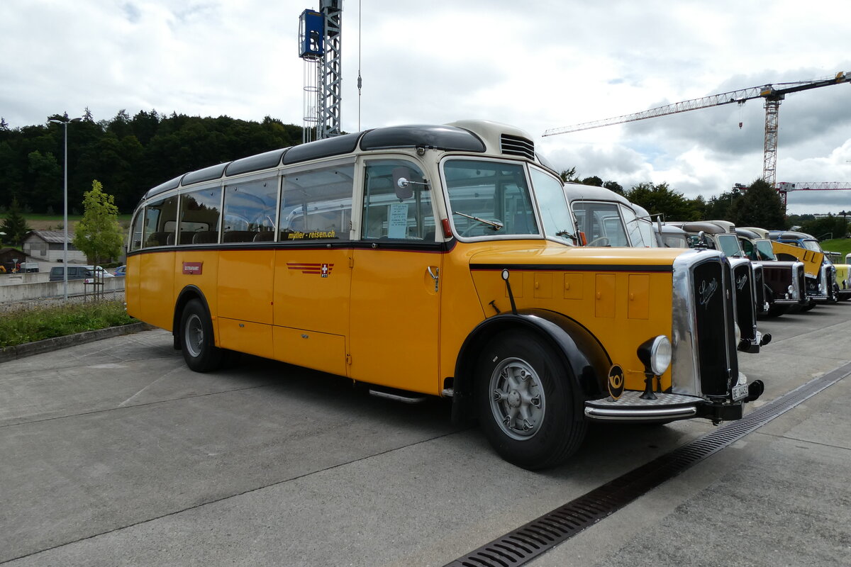 (279'618) - M�ller, Uttigen - BE 14'452 - Saurer/Eggli (ex Tschannen, Arth; ex OPC Ennetb�rgen Nr. 2; ex M+79'513; ex P 23'153; ex P 2240) am 30. August 2025 in Oberkirch, CAMPUS Sursee