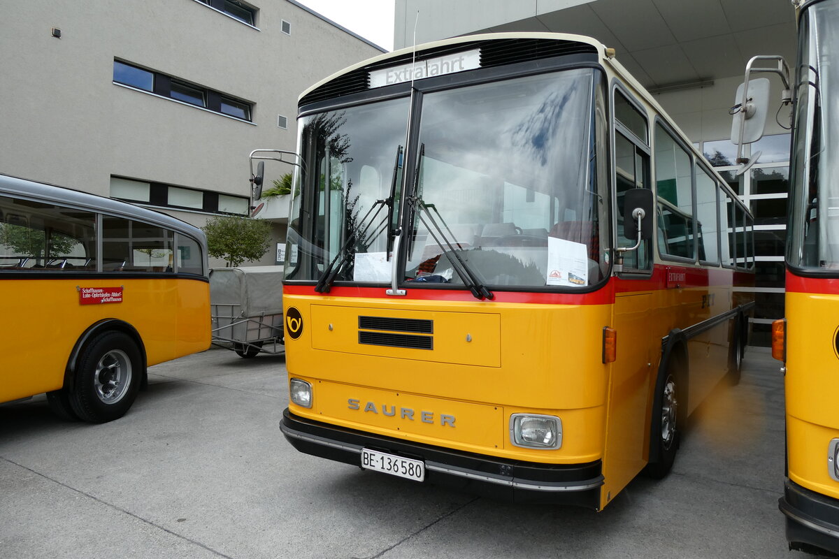 (279'663) - Schumacher, Liebefeld - BE 136'580 - Saurer/T�scher (ex Zimmermann, Niederwangen; ex P 24'289) am 30. August 2025 in Oberkirch, CAMPUS Sursee