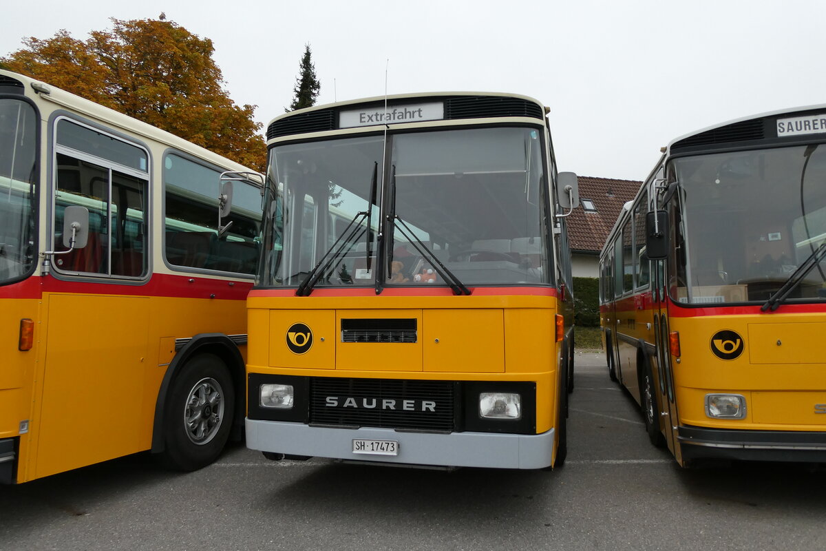 (281'327) - Ruklic, Schaffhausen - SH 17'473 - Saurer/T�scher (ex Schett, Sargans PID 2762) am 12. Oktober 2025 in Schwarzenberg, R�ssli