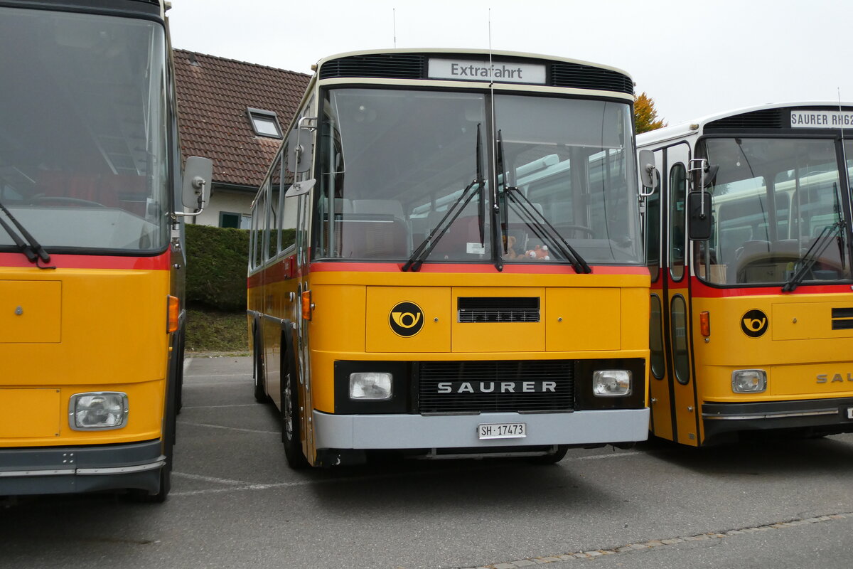 (281'347) - Ruklic, Schaffhausen - SH 17'473 - Saurer/T�scher (ex Schett, Sargans PID 2762) am 12. Oktober 2025 in Schwarzenberg, R�ssli