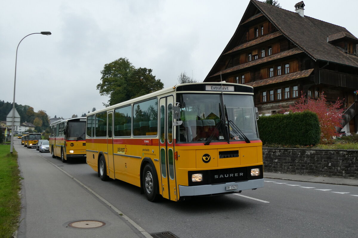 (281'393) - Ruklic, Schaffhausen - SH 17'473 - Saurer/T�scher (ex Schett, Sargans PID 2762) am 12. Oktober 2025 in Hellb�hl, Luzernstrasse