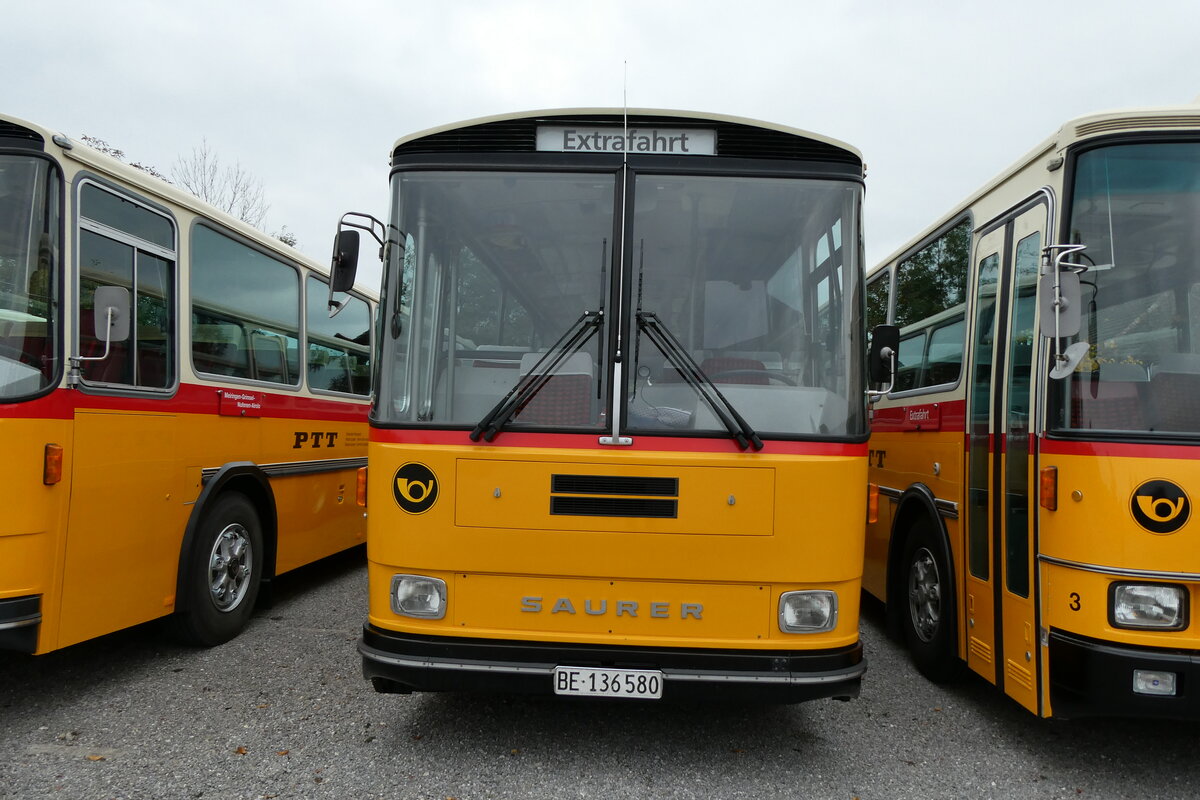 (281'421) - Schumacher, Liebefeld - BE 136'580 - Saurer/T�scher (ex Zimmermann, Niederwangen; ex P 24'289) am 12. Oktober 2025 in Hitzkirch, Interkantonale Polizeischule