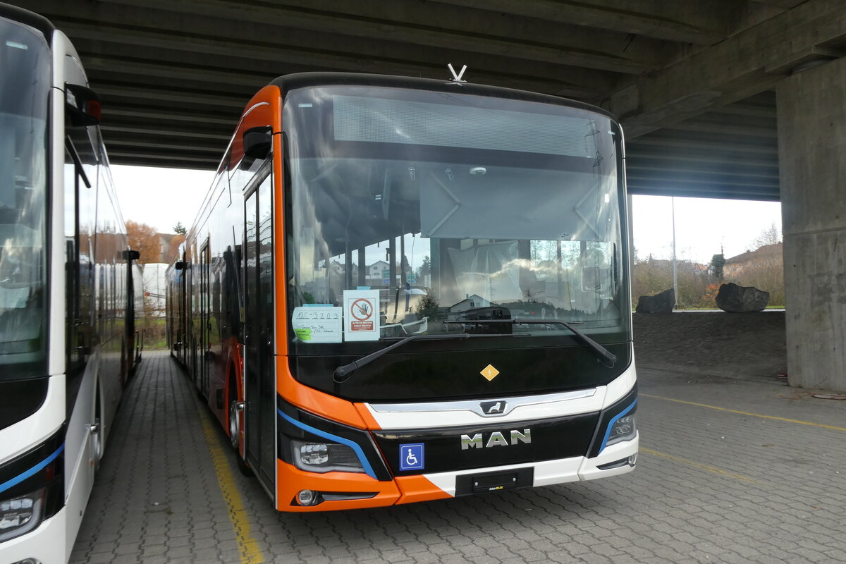 (282'450) - Gen�ve-Tours, Gen�ve - (3Z03) - eMAN am 15. November 2025 in Kerzers, Murtenstrasse