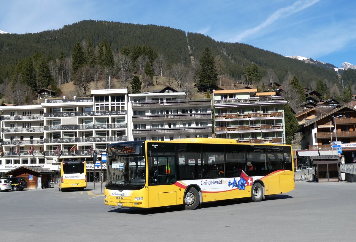 (285'361) - GrindelwaldBus, Grinbdelwald - Nr. 20/BE 349'361 - MAN/G�ppel am 13. M�rz 2026 beim Bahnhof Grindelwald